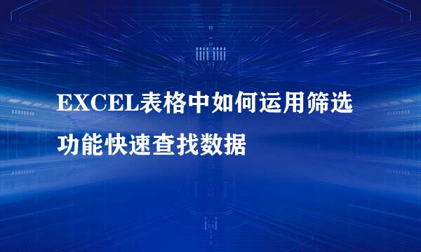 EXCEL表格中如何运用筛选功能快速查找数据