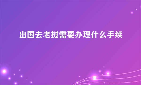 出国去老挝需要办理什么手续