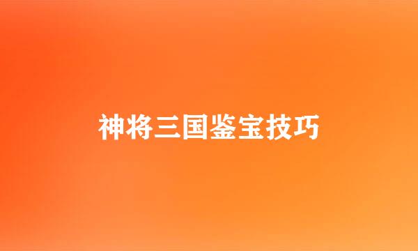 神将三国鉴宝技巧