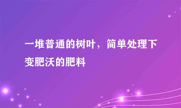 一堆普通的树叶，简单处理下变肥沃的肥料