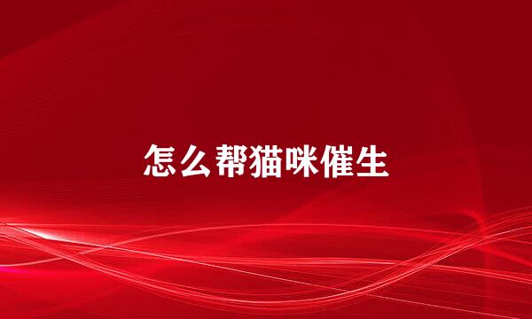 怎么帮猫咪催生