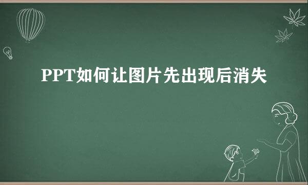 PPT如何让图片先出现后消失
