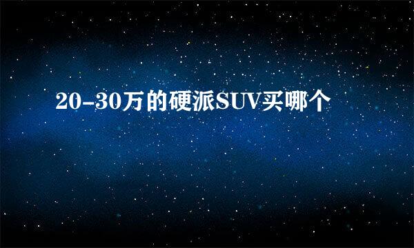 20-30万的硬派SUV买哪个