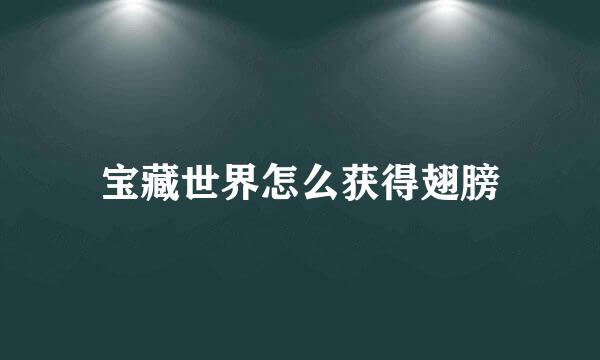 宝藏世界怎么获得翅膀