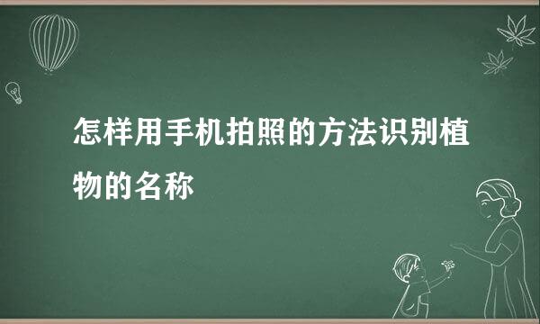 怎样用手机拍照的方法识别植物的名称