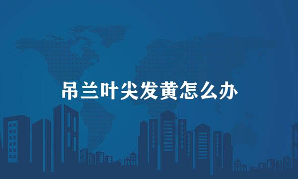 吊兰叶尖发黄怎么办