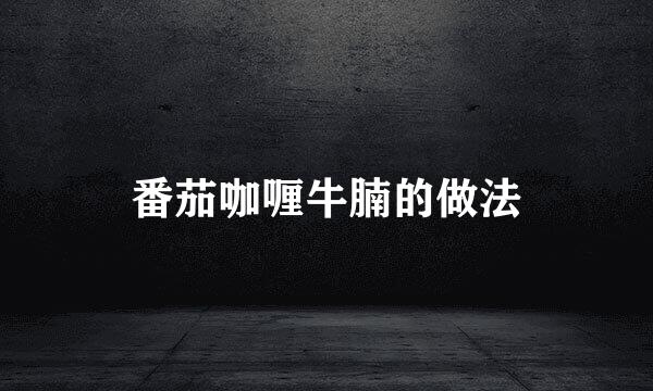 番茄咖喱牛腩的做法
