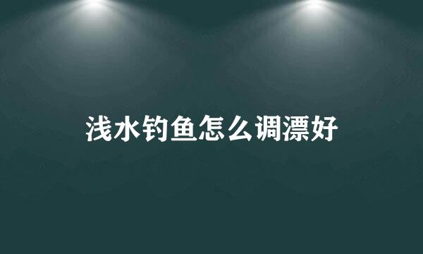 浅水钓鱼怎么调漂好