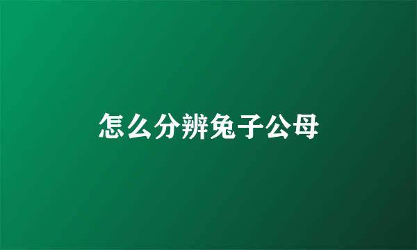 怎么分辨兔子公母
