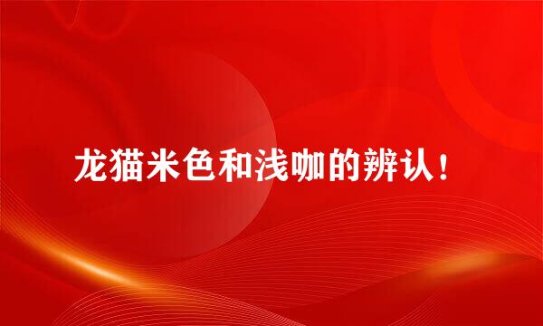 龙猫米色和浅咖的辨认！