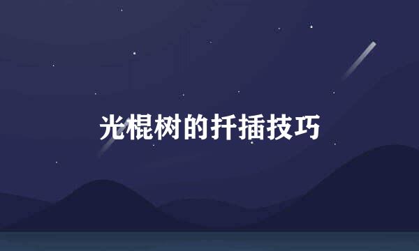 光棍树的扦插技巧