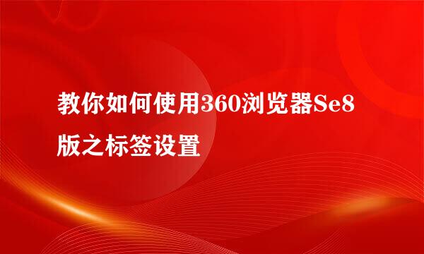 教你如何使用360浏览器Se8版之标签设置