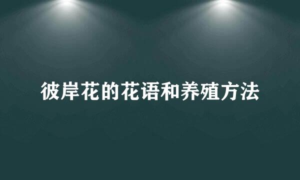 彼岸花的花语和养殖方法