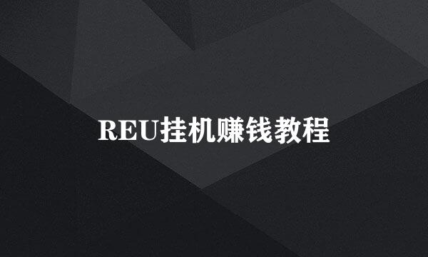 REU挂机赚钱教程
