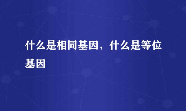 什么是相同基因，什么是等位基因