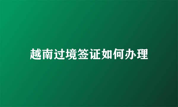 越南过境签证如何办理