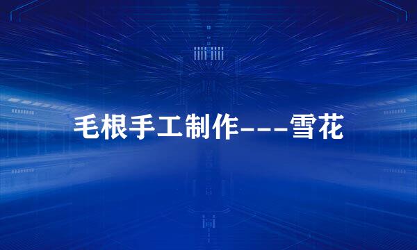 毛根手工制作---雪花