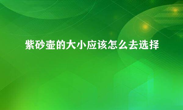 紫砂壶的大小应该怎么去选择
