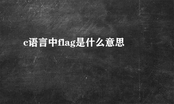 c语言中flag是什么意思