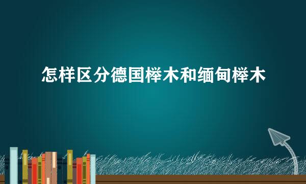 怎样区分德国榉木和缅甸榉木
