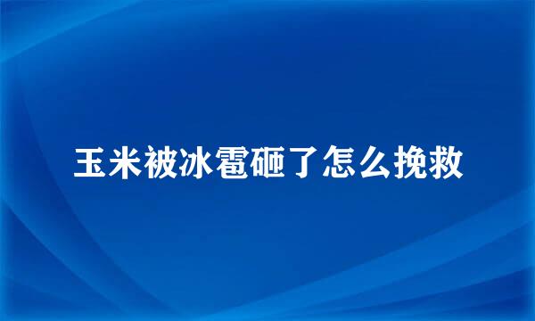 玉米被冰雹砸了怎么挽救