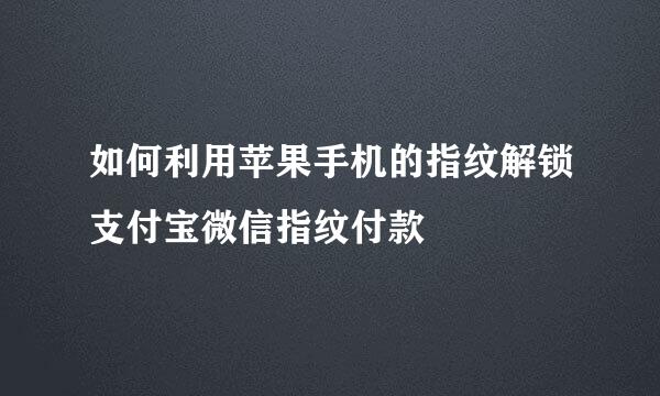 如何利用苹果手机的指纹解锁支付宝微信指纹付款