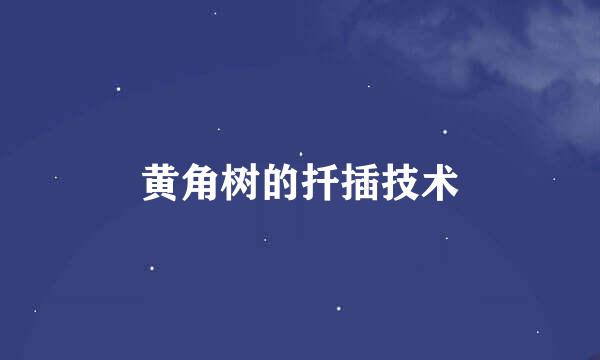 黄角树的扦插技术
