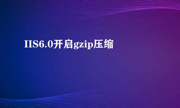 IIS6.0开启gzip压缩