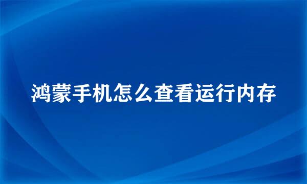 鸿蒙手机怎么查看运行内存