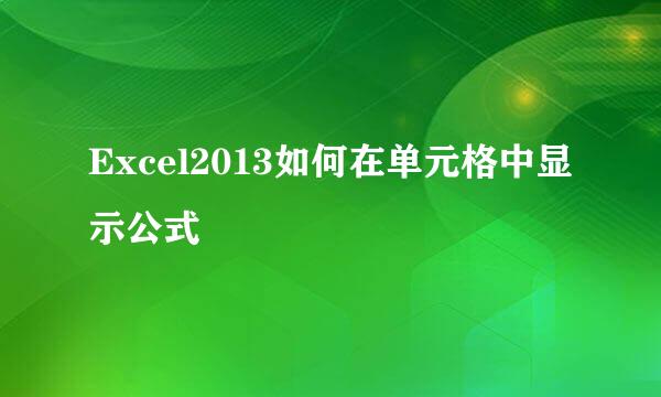 Excel2013如何在单元格中显示公式