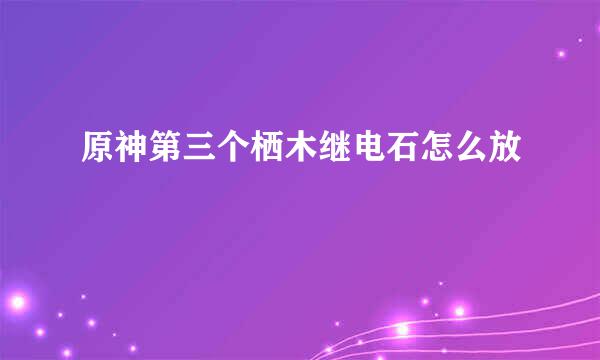 原神第三个栖木继电石怎么放