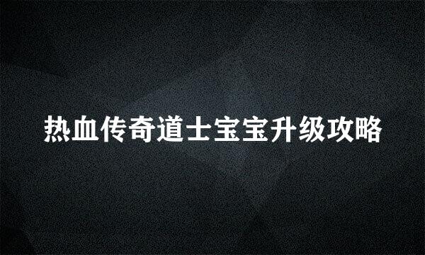 热血传奇道士宝宝升级攻略
