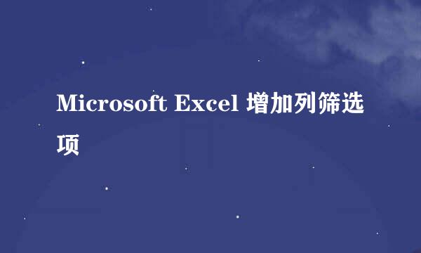 Microsoft Excel 增加列筛选项