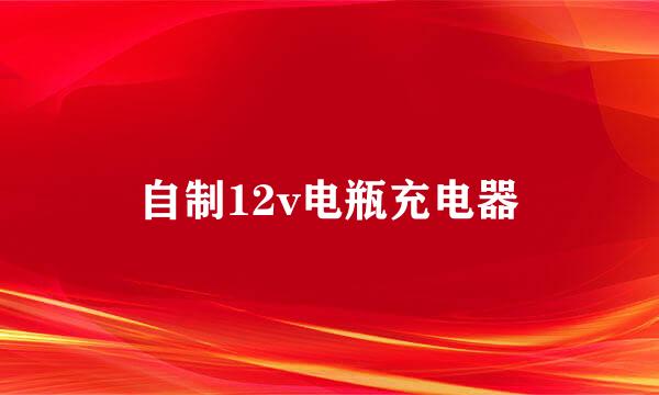 自制12v电瓶充电器