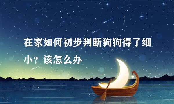 在家如何初步判断狗狗得了细小？该怎么办