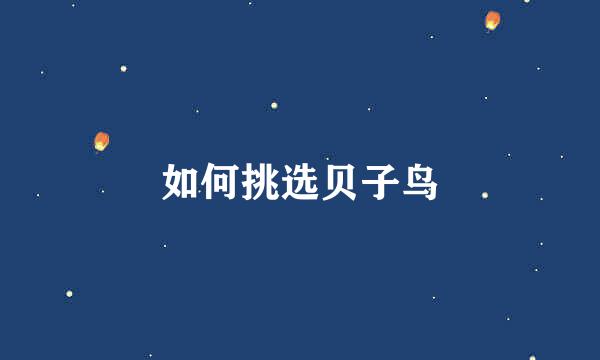如何挑选贝子鸟