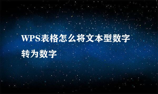 WPS表格怎么将文本型数字转为数字