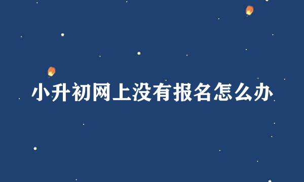 小升初网上没有报名怎么办
