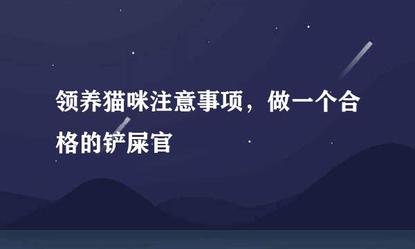 领养猫咪注意事项，做一个合格的铲屎官