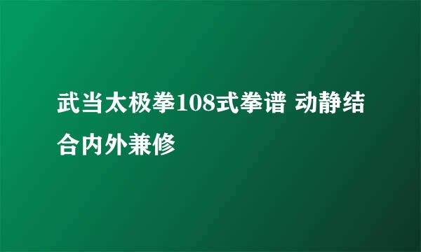 武当太极拳108式拳谱 动静结合内外兼修