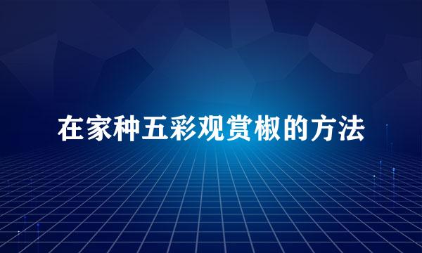 在家种五彩观赏椒的方法