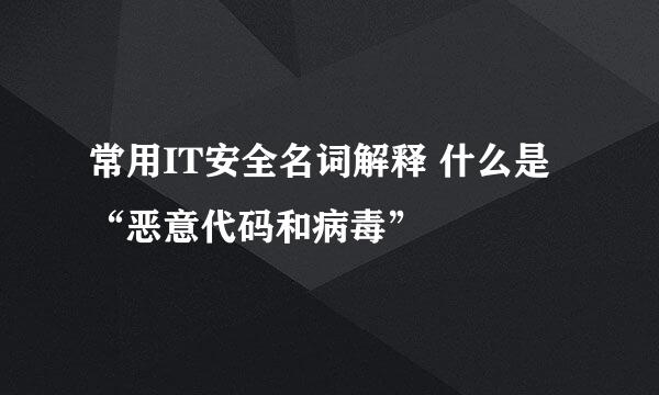 常用IT安全名词解释 什么是“恶意代码和病毒”