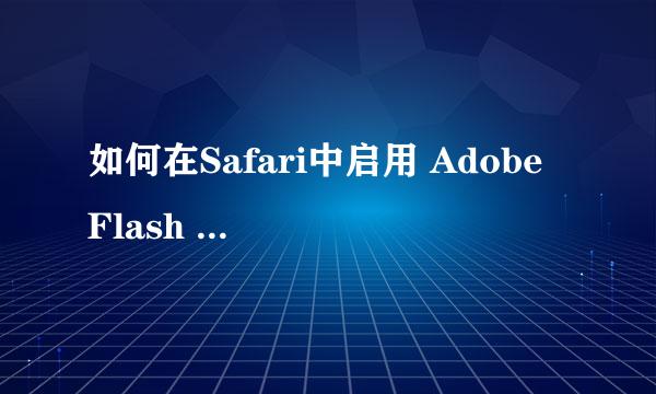 如何在Safari中启用 Adobe Flash Player