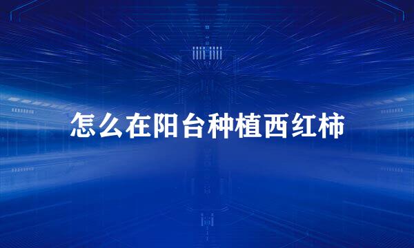怎么在阳台种植西红柿