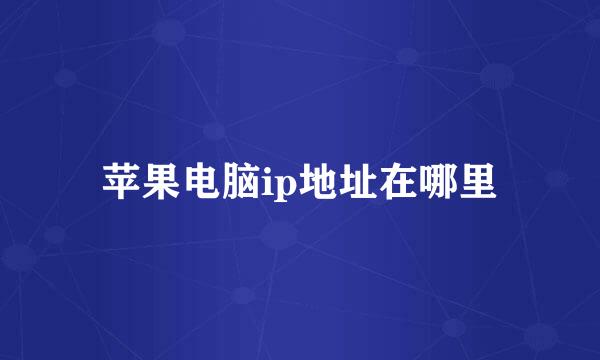 苹果电脑ip地址在哪里
