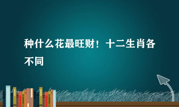 种什么花最旺财！十二生肖各不同