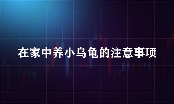 在家中养小乌龟的注意事项