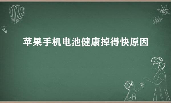 苹果手机电池健康掉得快原因