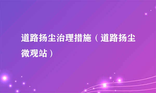 道路扬尘治理措施（道路扬尘微观站）