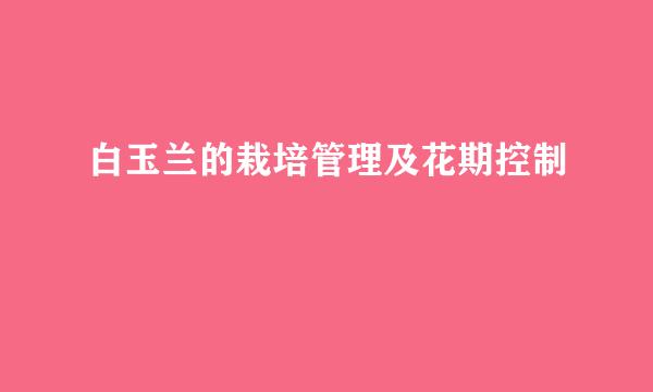 白玉兰的栽培管理及花期控制
